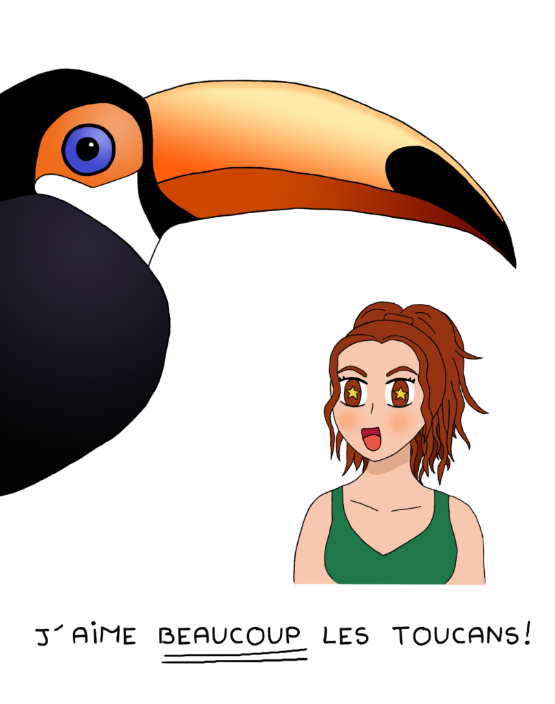 I COEUR toucan